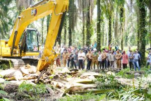 Read more about the article Bupati Pelalawan Buka Secara Resmi Penumbangan Perdana Peremajaan Sawit Rakyat Di Desa Surya Indah