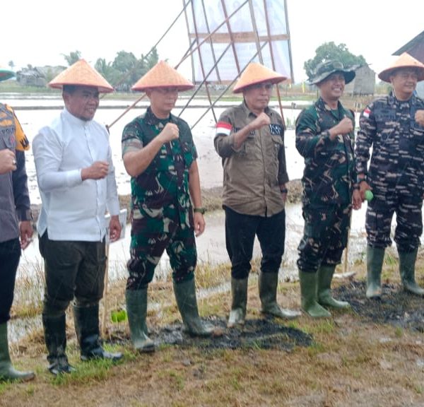 Tanam Padi Perdana IP 200 Di Kuala Kampar, Bupati Pelalawan Harapkan Dukungan Seluruh Stakeholder Demi Mewujudkan Swasembada Pangan Di Kabupaten Pelalawan