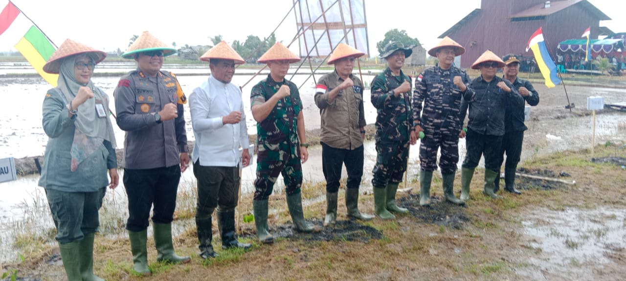 You are currently viewing Tanam Padi Perdana IP 200 Di Kuala Kampar, Bupati Pelalawan Harapkan Dukungan Seluruh Stakeholder Demi Mewujudkan Swasembada Pangan Di Kabupaten Pelalawan