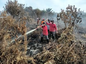 Read more about the article Camat Kuala Kampar Ikut Berjibaku Padamkan Karhutla di Desa Teluk