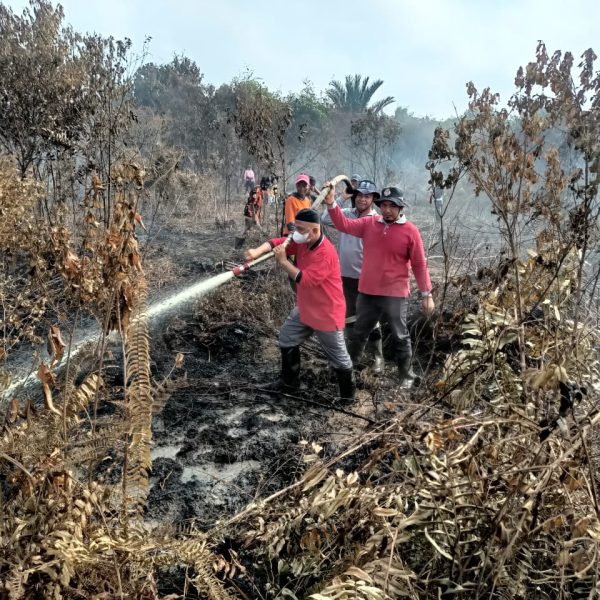 Camat Kuala Kampar Ikut Berjibaku Padamkan Karhutla di Desa Teluk