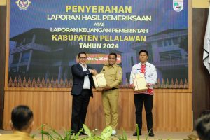 Read more about the article Pelalawan Kembali Raih Opini WTP Ke 13 Berturut-turut Atas LKPD 2024