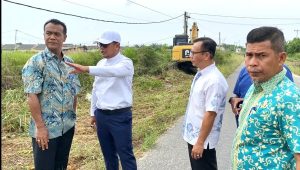 Read more about the article Antisipasi Banjir, Bupati Pelalawan Tinjau Pembersihan Drainase Di Pangkalan Kerinci