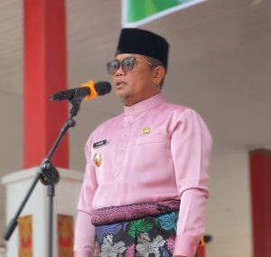 Read more about the article Dilaksanakan Di Taman Bola, Bupati Pelalawan Jadi Pembina Upacara Peringatan HUT Ke-68 Provinsi Riau