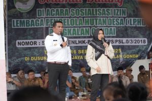 Read more about the article Bupati Pelalawan Hadiri Sosialisasi Keberadaan Izin Lembaga Pengelola Hutan Desa (LPHD) di Desa Pangkalan Gondai