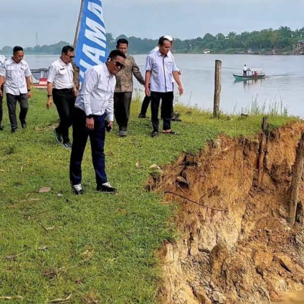 Bupati Pelalawan Tinjau Lokasi Abrasi Sungai Kampar di Desa Kuala Terusan