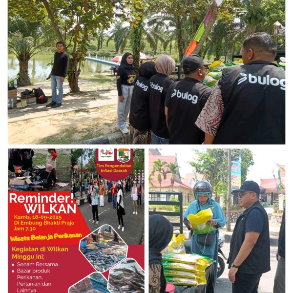 Inflasi Pelalawan Terendah se-Riau, Berkat Operasi Pasar di WILKAN