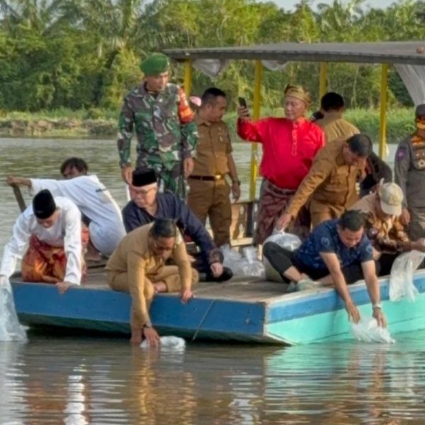 Bupati dan Wabup lepas 13 Ribu Bibit Ikan Patin di Sungai Pangkalan Kerinci