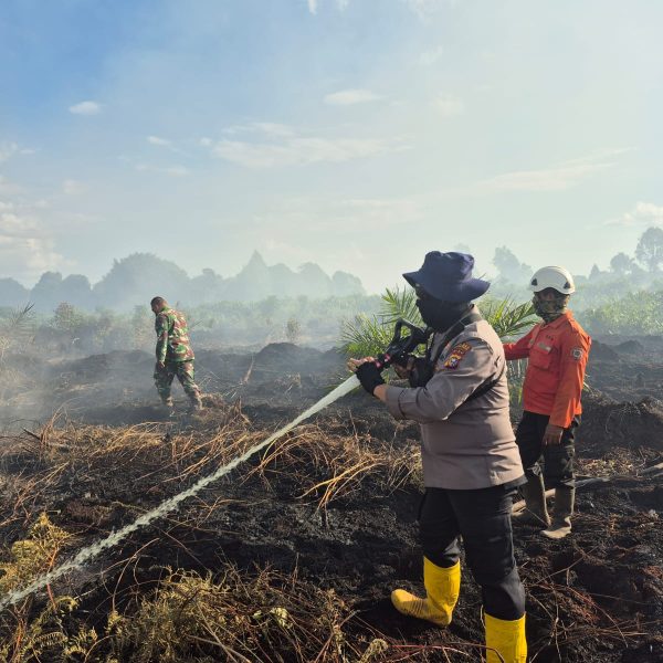 Tim Gabungan Polsek Teluk Meranti Lakukan Pendinginan Kebakaran Lahan Di Kelurahan Teluk Meranti