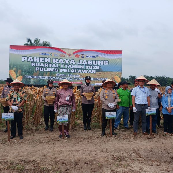 Sekda Pelalawan Hadiri Panen Raya Jagung Polres, Dukung Ketahanan Pangan Nasional