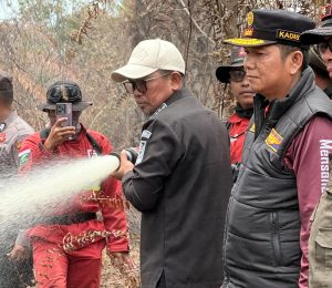 Read more about the article Bupati Pelalawan Tinjau Langsung Titik Karhutla di Desa Gambut Mutiara