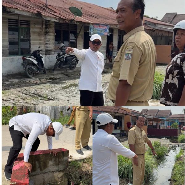 Bupati Pelalawan Tinjau Drainase di Pangkalan Kerinci, Instruksikan Normalisasi dan Penanganan Menyeluruh