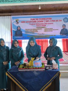 Read more about the article Peringati HKG PKK Ke-54, TP PKK Pelalawan Dorong Penguatan 10 Program Pokok PKK