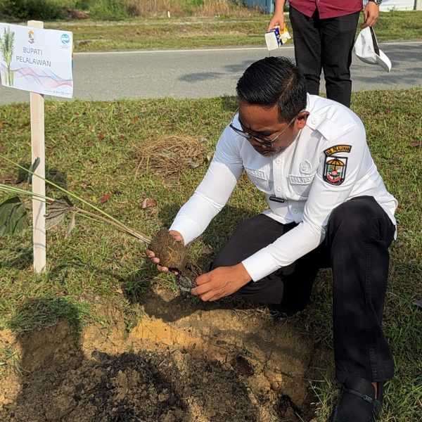Bupati Pimpin Penanaman Bibit Pohon Aren di Pangkalan Kerinci