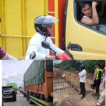 Bupati Pelalawan Tinjau Kemacetan di KM 83 Desa Kemang, Pekerjaan Jalan Dihentikan Sementara