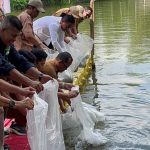 Bupati Zukri Restocking 30 Ribu Bibit Ikan Patin