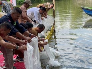 Read more about the article Bupati Zukri Restocking 30 Ribu Bibit Ikan Patin