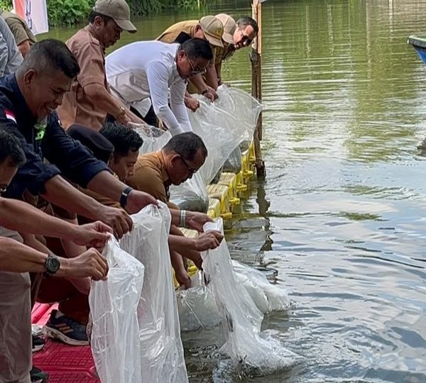 Bupati Zukri Restocking 30 Ribu Bibit Ikan Patin